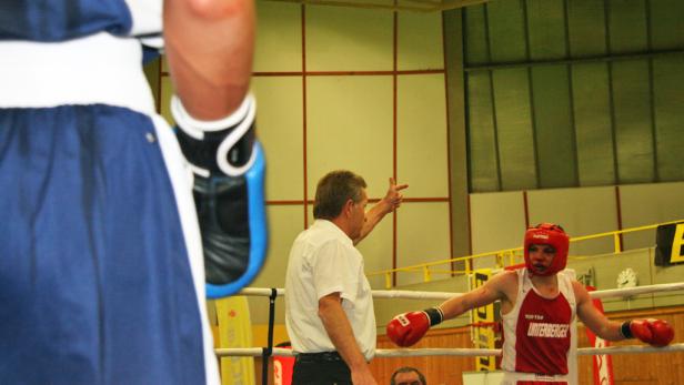 Kleine Boxer ganz groß