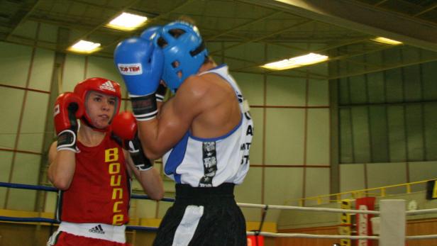 Kleine Boxer ganz groß