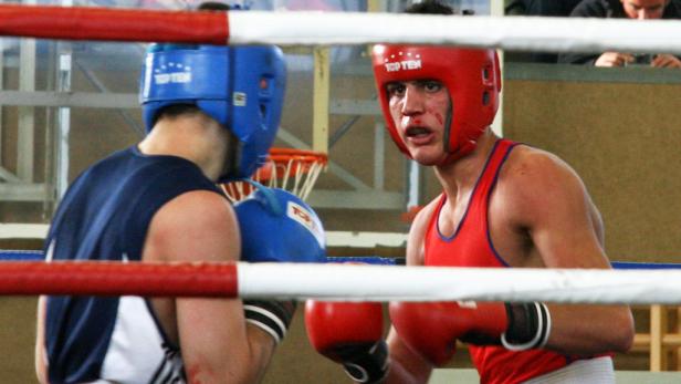 Kleine Boxer ganz groß