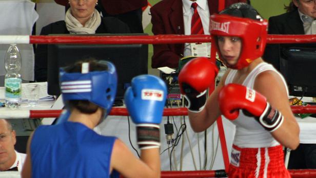 Kleine Boxer ganz groß