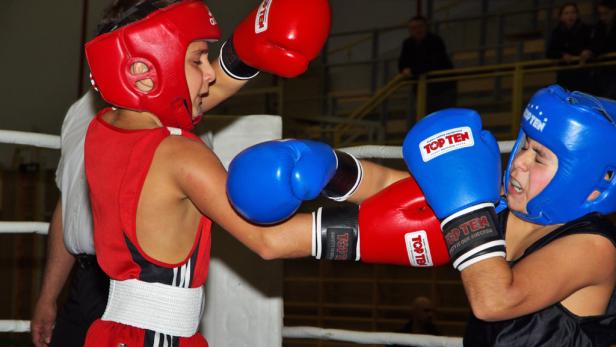 Kleine Boxer ganz groß