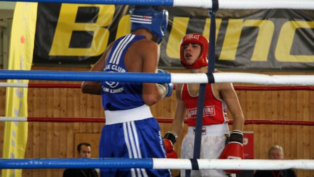 Kleine Boxer ganz groß