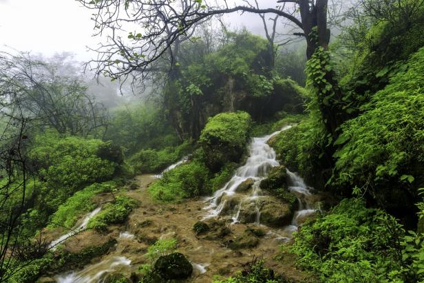 Ein kleiner Wasserfall fließt durch eine üppige, grüne Landschaft im Nebel.