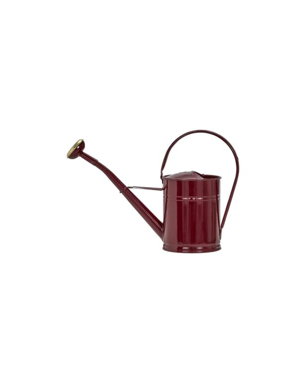 Eine rote Gießkanne mit goldenem Brausekopf vor einem weißen Hintergrund.