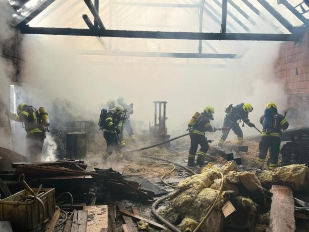 Bauernhof brannte: Mehr als 100 Kühe gerettet
