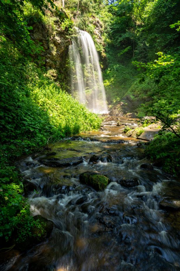 Ein Wasserfall ergießt sich in einen Bach, umgeben von üppigem Grün.