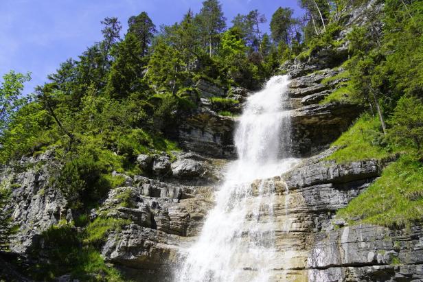 Ein Wasserfall stürzt über eine felsige Klippe, umgeben von Bäumen.