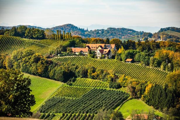 Weinberge der Südsteiermark, grüne Hügel in Sernau bei Gamlitz, Haus inmitten der Weinberge