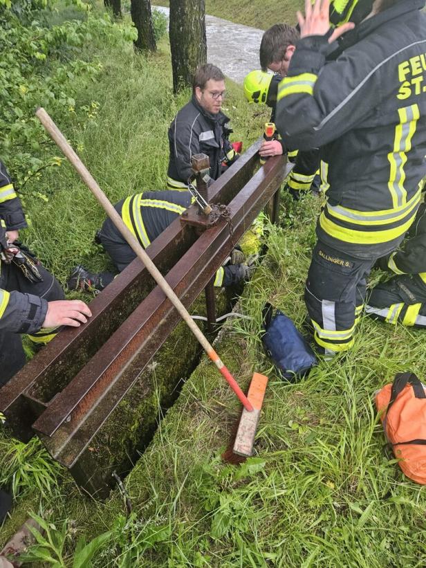 NÖ: Feuerwehr rettete Rehkitz aus tödlicher Falle
