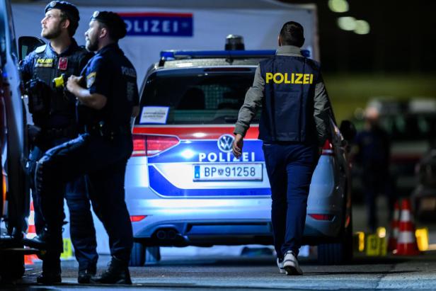 Axt-Mord in Wien: Frau rief per Video um Hilfe, als Mann sie erschlug