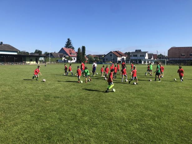 SC St. Pölten setzt als ältester Verein der Stadt auf die Jungen