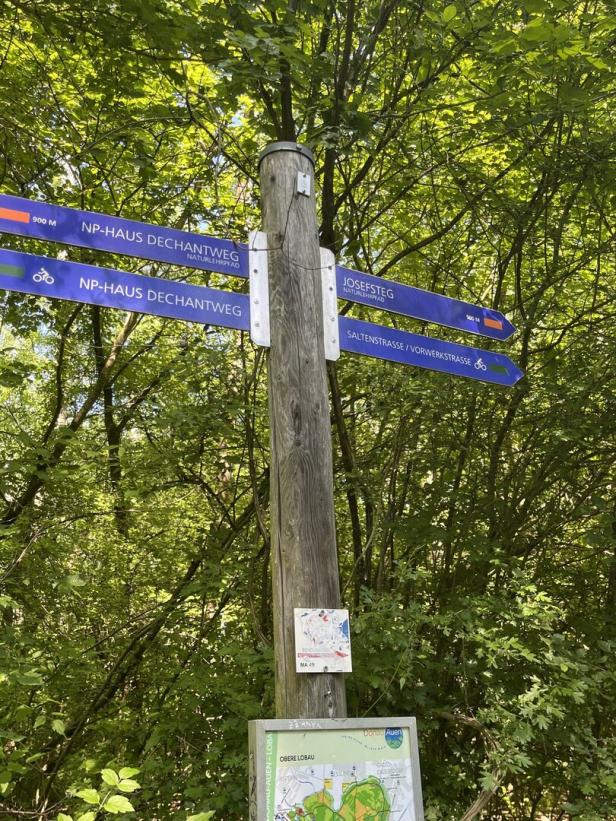Ein Wegweiser im Wald zeigt verschiedene Wanderwege, darunter den NP-Haus Dechantweg und den Josefsteg.