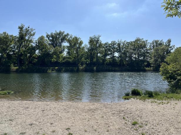 Ein ruhiger See mit Bäumen am Ufer unter blauem Himmel.
