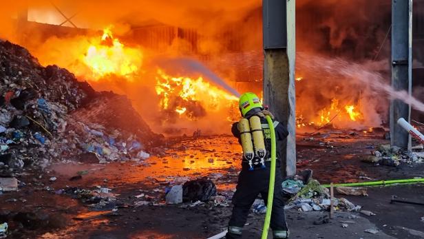 Bei Großbrand entdecktes Katzenbaby hat neues Zuhause gefunden