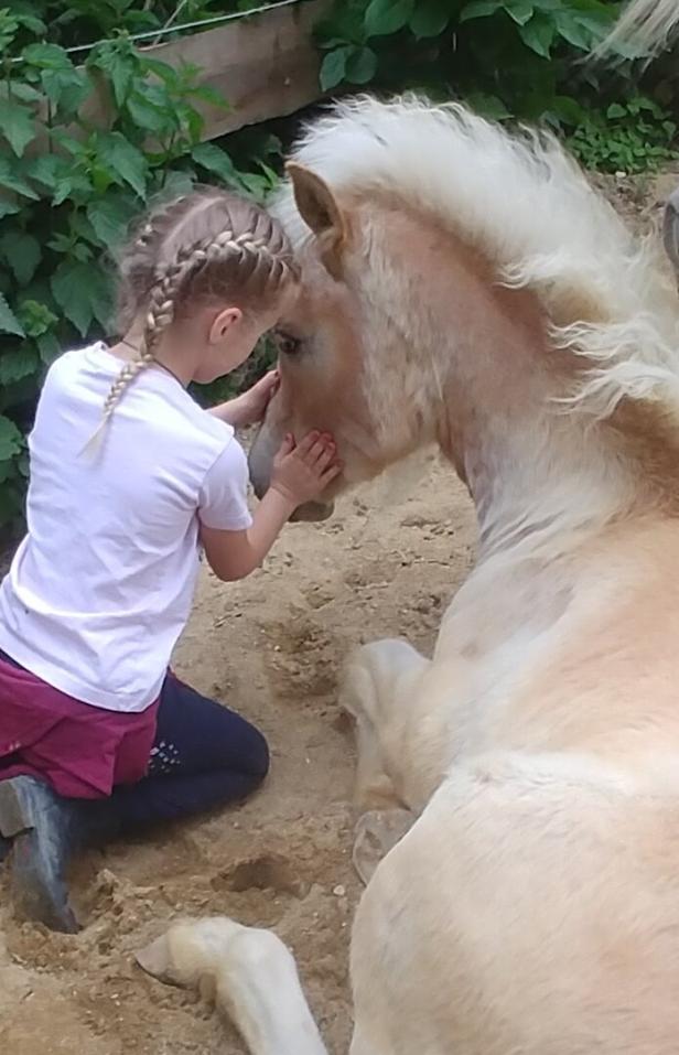 Tiertherapie: Wie sie Kinder stärkt und worauf man bei Anbietern achten sollte