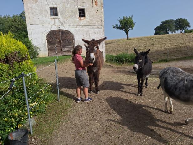 Bäuerin und Esel wandern einen Sommer lang Seite an Seite