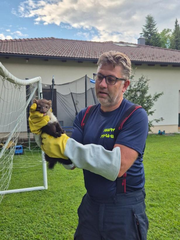 Feuerwehr rückte aus, um Marder aus misslicher Lage zu befreien