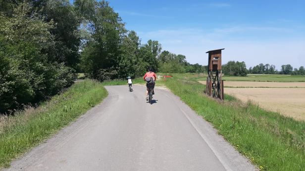 Murradweg zwischen Mureck und Bad Radkersburg