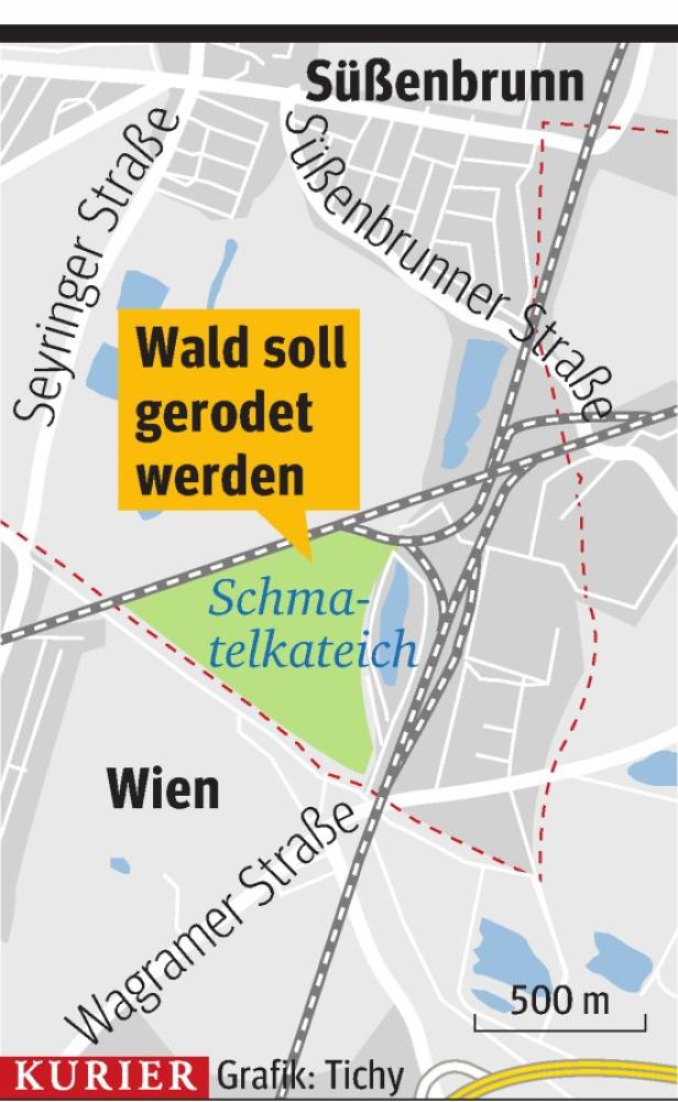 Anrainer kämpfen gegen Rodung von 19.000 m² Wald