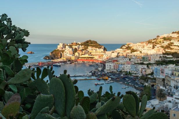 Blick auf Ponza, eine pontinische Insel in der Nähe der Latium-Küste in Italien, Blick auf ein kleines Dorf, im Vordergrund Kakteen 