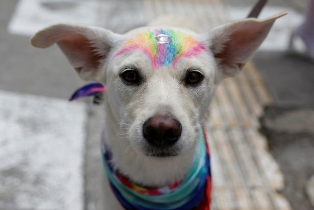 Linz Pride: Mehr Sicherheit, neue Route, noch kein Datum für 2025