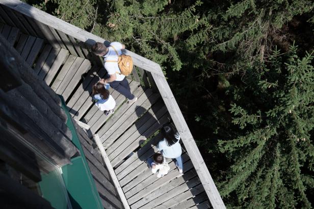 Eine Familie steht auf einem hölzernen Aussichtsturm, umgeben von Bäumen.