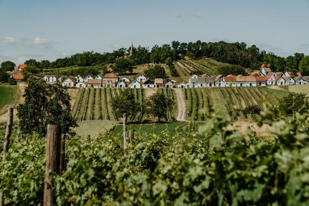 Weinreisen mit Familie und Freunden: Auf nach Niederösterreich!