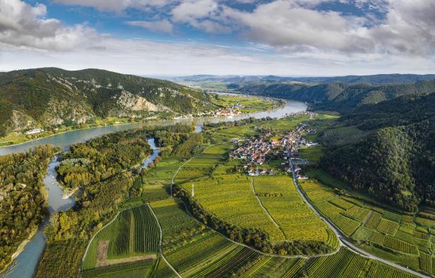 Weinreisen mit Familie und Freunden: Auf nach Niederösterreich!