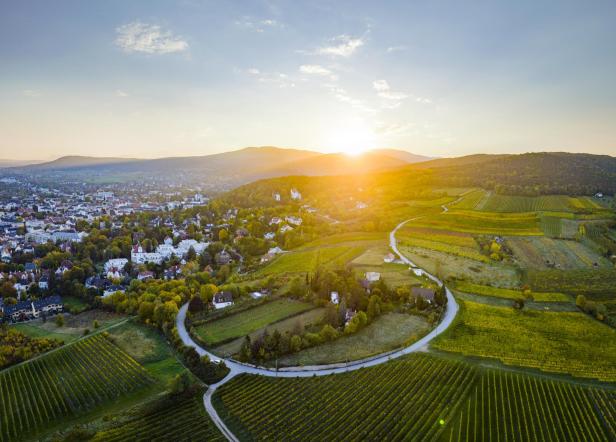 Weinreisen mit Familie und Freunden: Auf nach Niederösterreich!