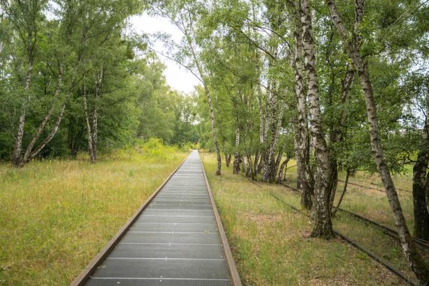 Naturschutz am Bahnhofsgelände: Berlin als Vorbild für Breitenlee