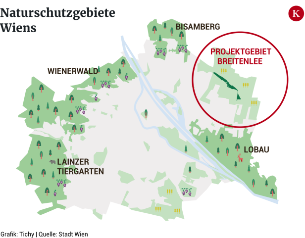 Naturschutz am Bahnhofsgelände: Berlin als Vorbild für Breitenlee