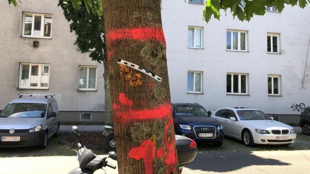 Syrer gegen Russen: Schusswechsel bei Straßenschlacht in Wien