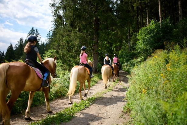 Landleben in seiner schönsten Form im  Naturchaletdorf Landgut Moserhof