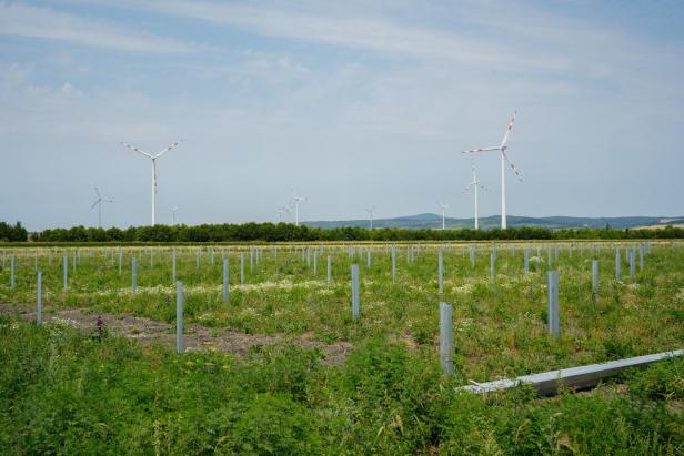 Spatenstich bei Hybrid-Energiepark im Nordburgenland