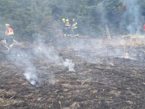 Waldbrand bei Forchtenstein: 19 Feuerwehren im Einsatz