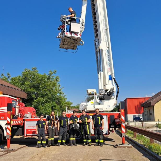 NÖ: Feuerwehr rettete vier junge Falken aus Klärbecken