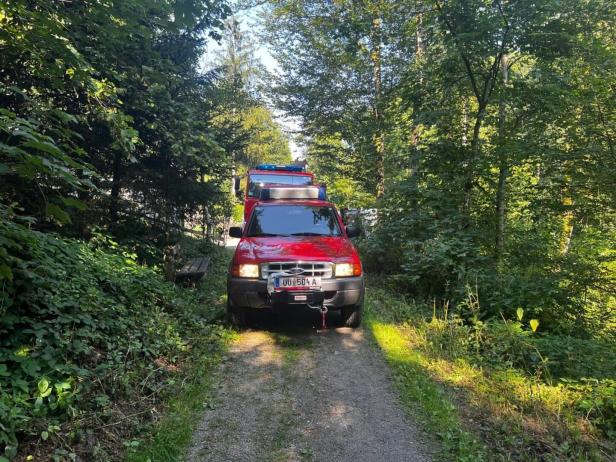 OÖ: Zwei Eschen stürzten auf Mutter und siebenjährige Tochter in Flussbad