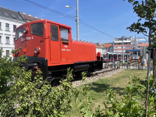 Endstation: Mit der Bim bis zum Bisamberg