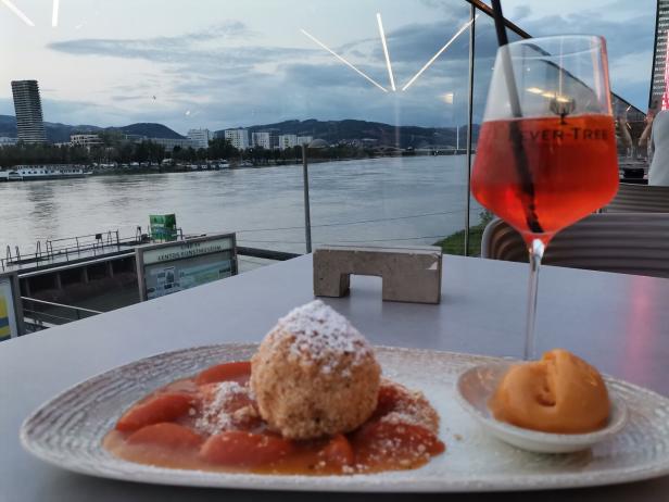 Bunter Mix im Lentos-Café auf der Terrasse mit Donaublick