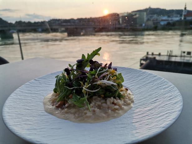 Bunter Mix im Lentos-Café auf der Terrasse mit Donaublick