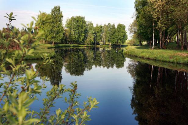 Naturpark Hochmoor Schrems