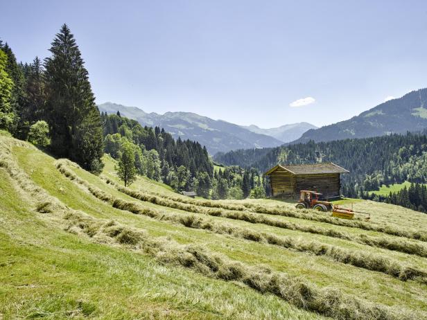 Gut miteinander auskommen auf der Alm: Müll, Hunde, Autos - bitte nicht!