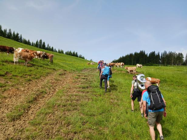 Gut miteinander auskommen auf der Alm: Müll, Hunde, Autos - bitte nicht!