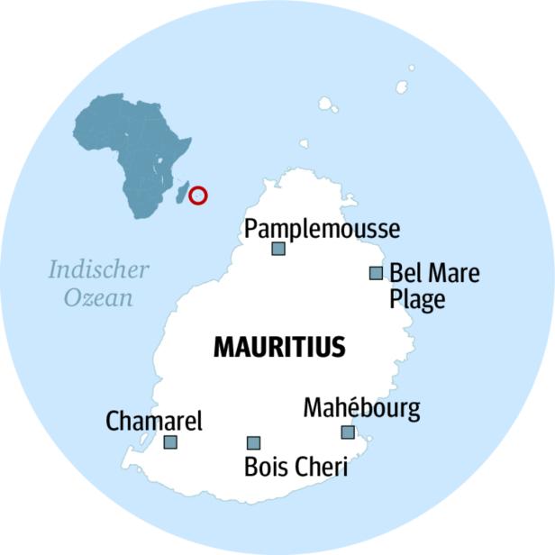 Exklusiv auf Mauritius: Die Geheimnisse hinter den köstlichen Zuckersorten