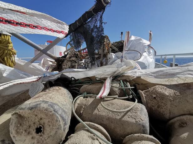 Wie Sea Shepherd im Mittelmeer Oktopusse aus illegalen Fallen rettet