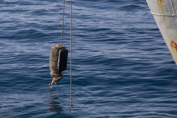 Wie Sea Shepherd im Mittelmeer Oktopusse aus illegalen Fallen rettet