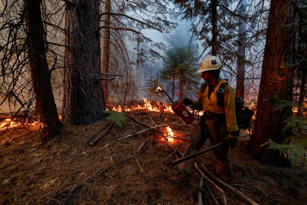 Große Zerstörung: Kampf gegen Waldbrände in Kalifornien dauert an