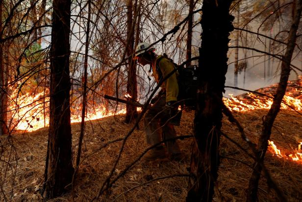 Große Zerstörung: Kampf gegen Waldbrände in Kalifornien dauert an