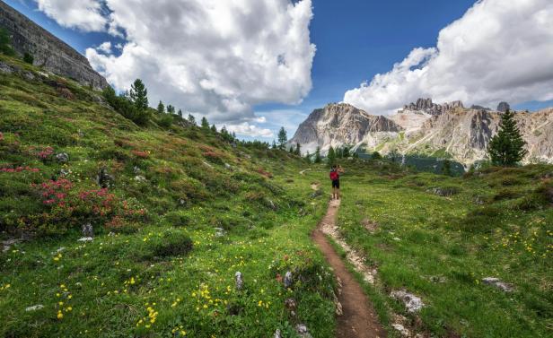 Schluss mit Urlaub auf der Alm? Die Zahl der Almbetriebe geht zurück