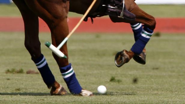 Ein Polopferd schlägt mit einem Schläger nach einem Ball.